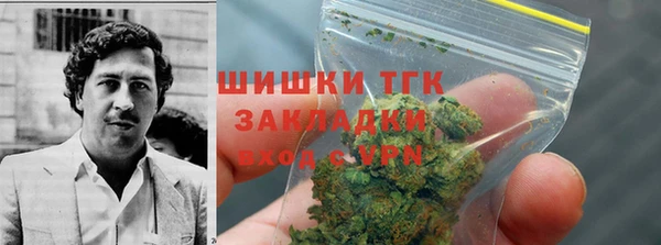 ECSTASY Горняк