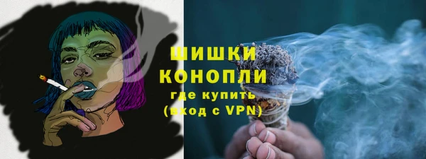ECSTASY Горняк