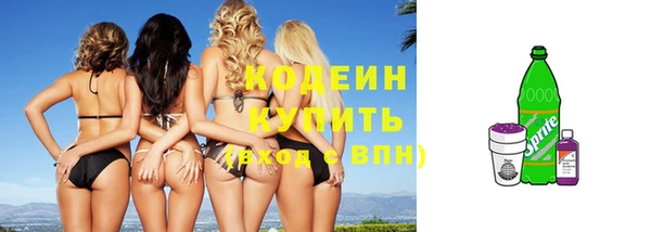 ECSTASY Горняк