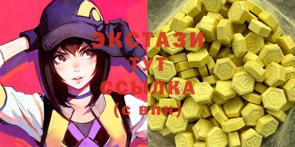 ECSTASY Горняк