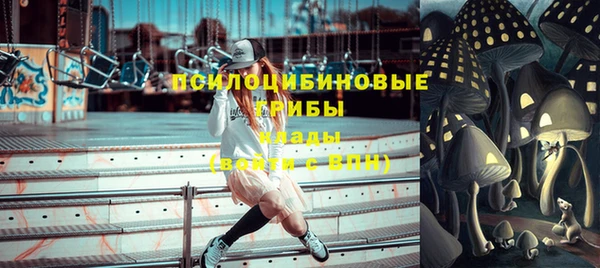 гашиш Горнозаводск