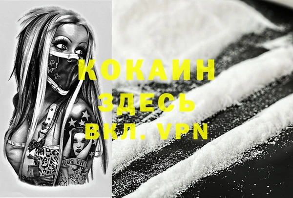 ECSTASY Горняк