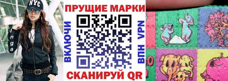 Купить где  Зубцов  Марки NBOMe 1,5мг 