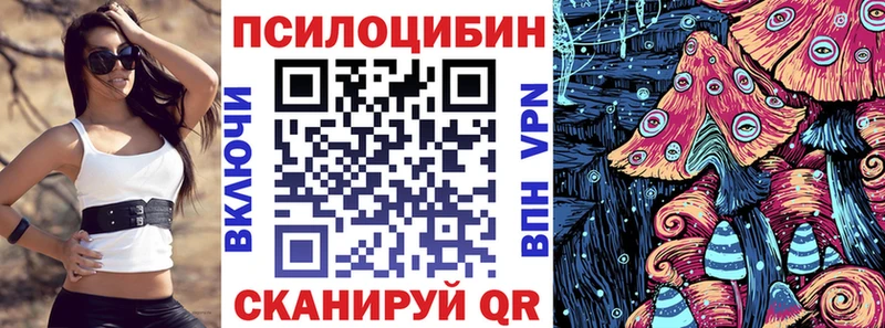 Купить где  Зубцов  Галлюциногенные грибы мицелий 